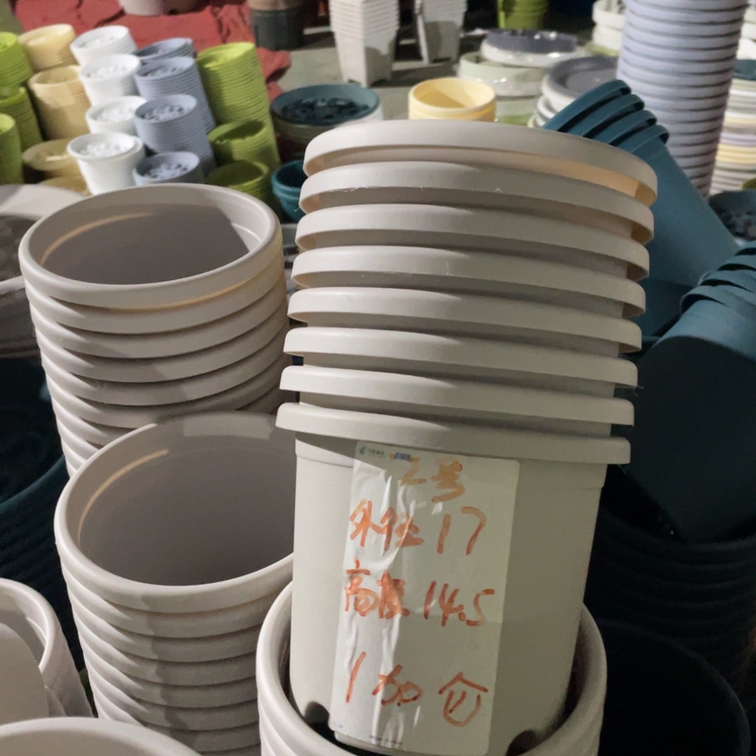 微瑕2#无拖灰白10个