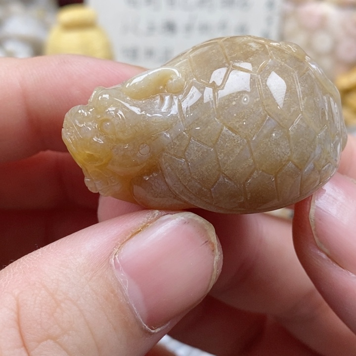 颈饰未镶嵌硅化珊瑚（珊瑚玉）