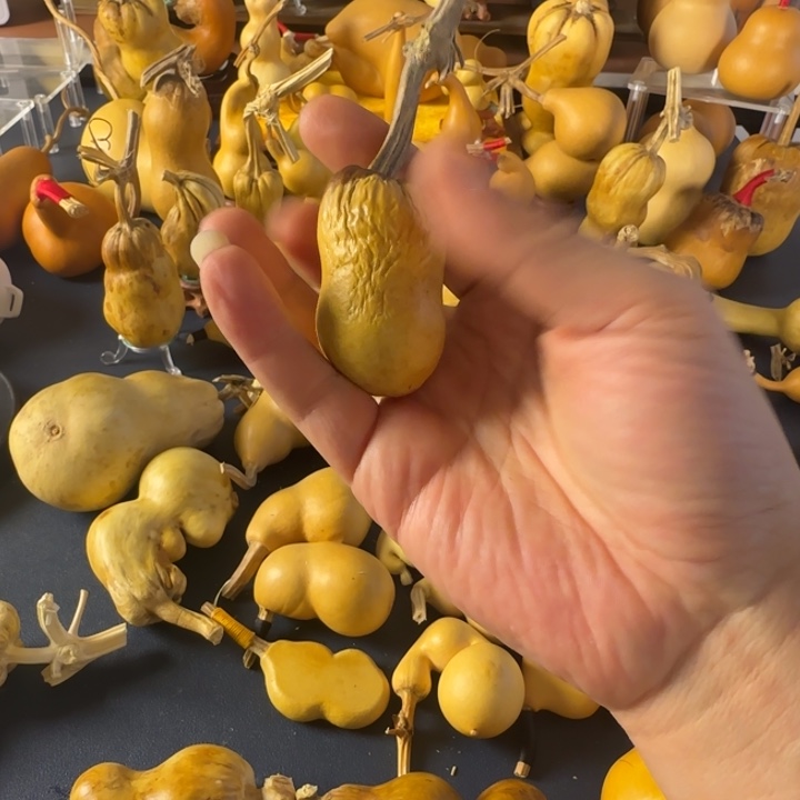 幸***狗绒面个健康减肥方法和解决就好尴尬尴尬尴尬元