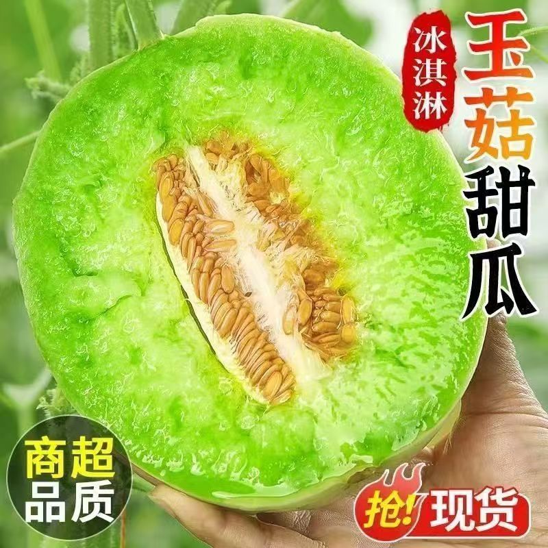 山东玉菇甜瓜新鲜应季冰淇淋爆甜软糯白瓜蜜瓜