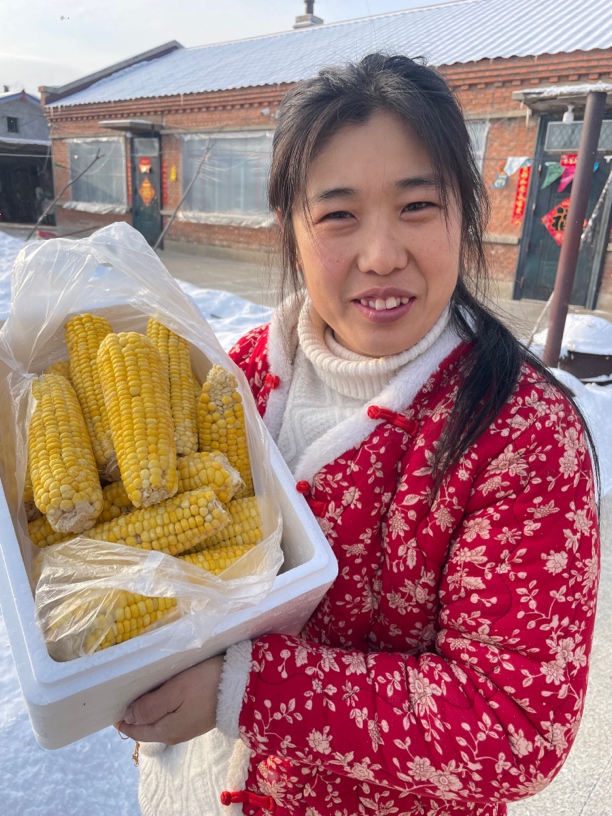 东北自家小园种植粘玉米 口感甜加糯 有大有小 有老有嫩介意勿拍