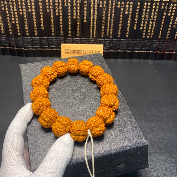 超头严选：大尺寸帝王花（17号）