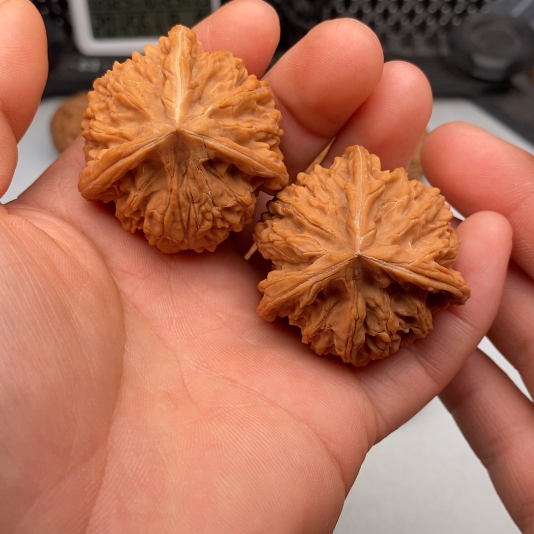 把件文玩核桃43文山三棱