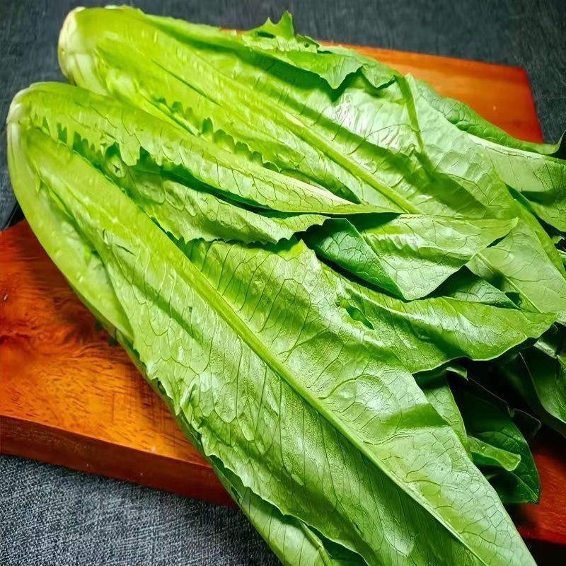 C新鲜本地油麦菜450g-500g油麦菜