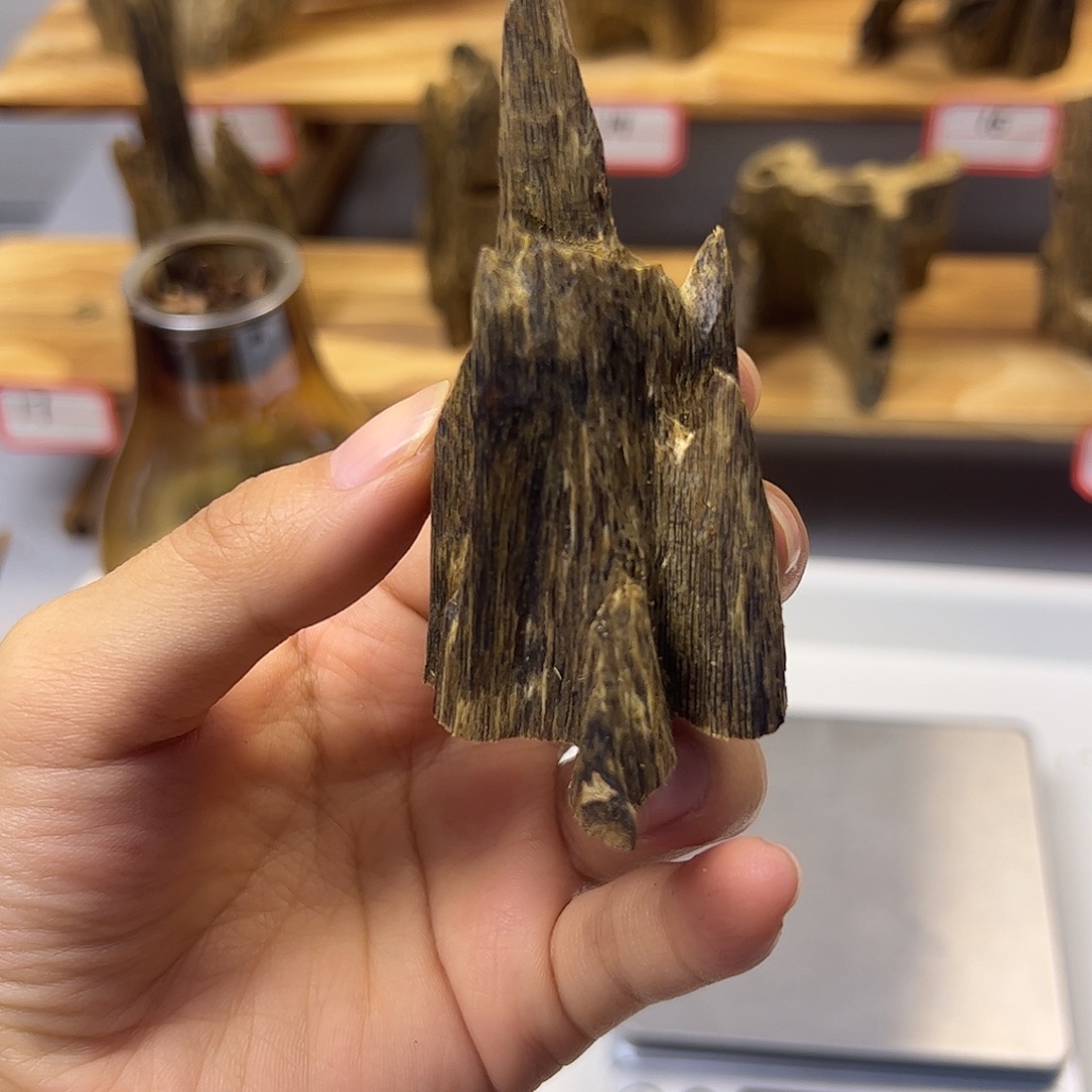 木质乌身 虫漏精致小摆 11克