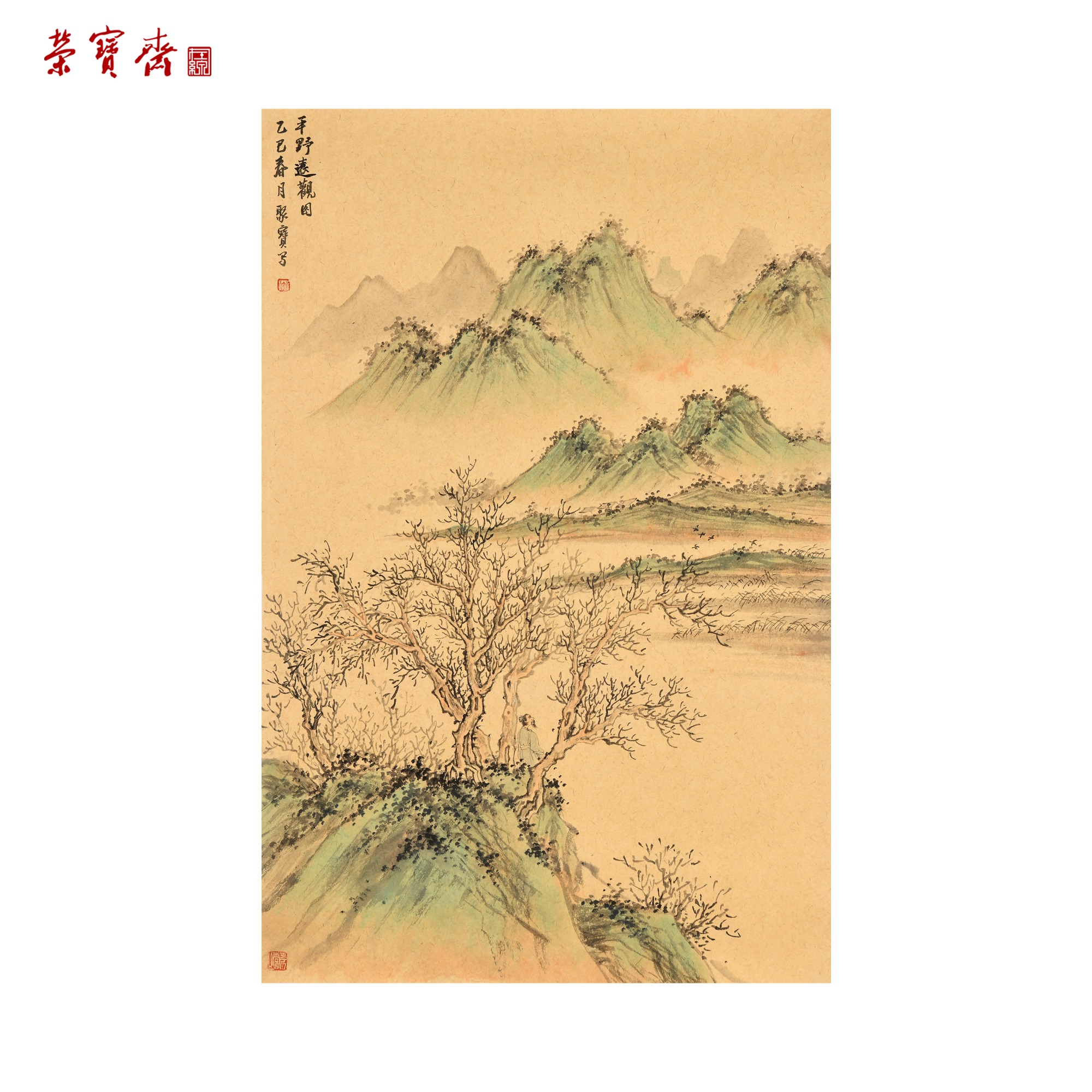 早14（g97309）《平野远观》书画 纸本已托 70*45cm