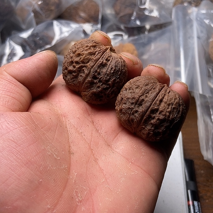 把件文玩核桃云南铁核桃炸福利直播间27号