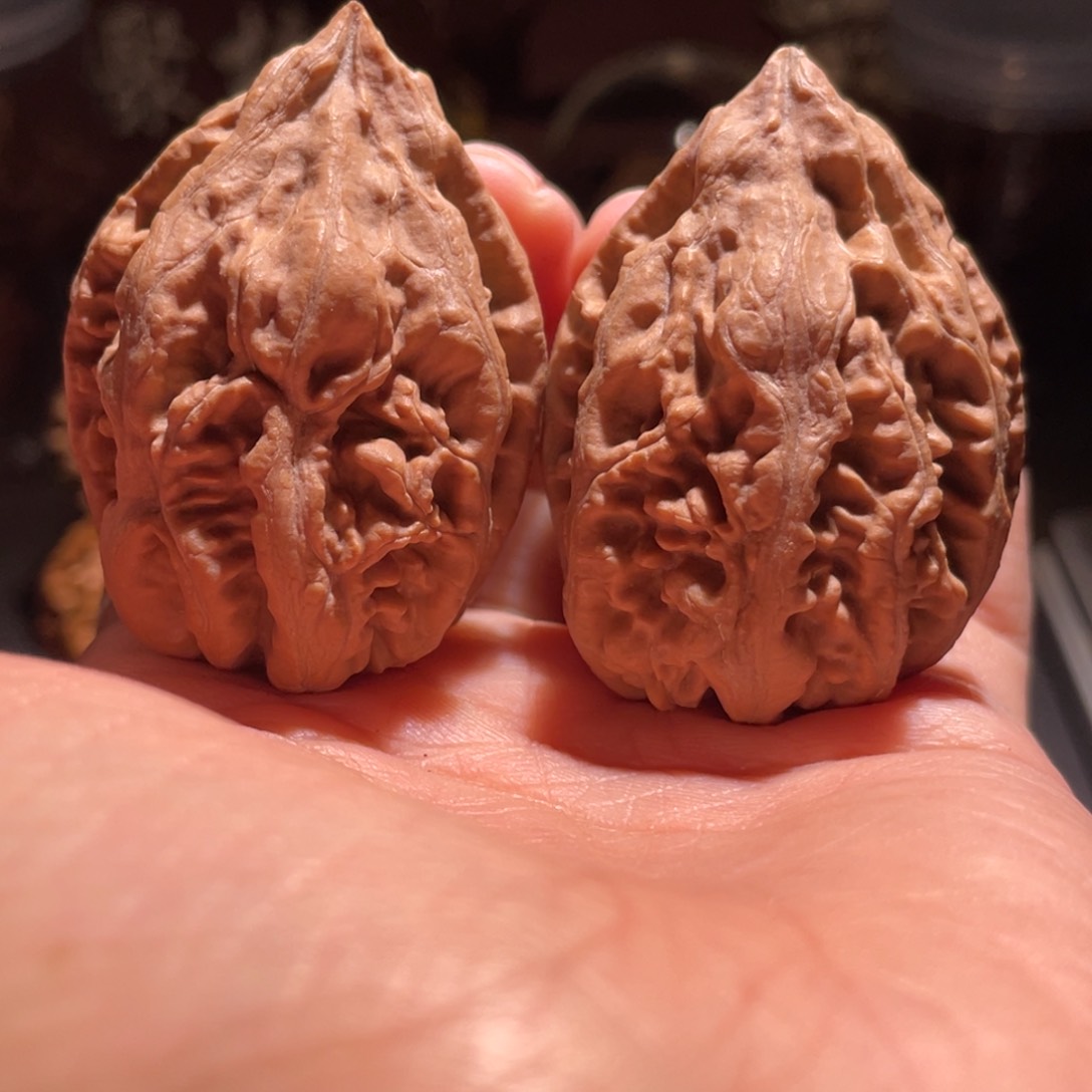 文玩核桃吊坠章鱼塔30