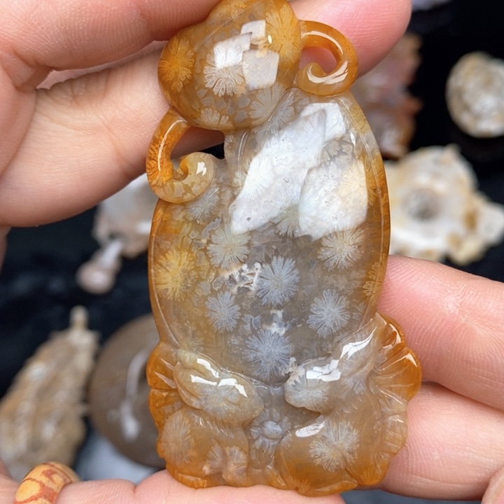 硅化珊瑚（珊瑚玉）手镯未镶嵌