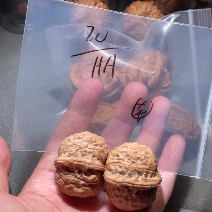 A***.吊坠文玩核桃南瓜