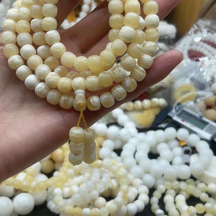 贝壳贝壳贝壳贝壳贝贝壳