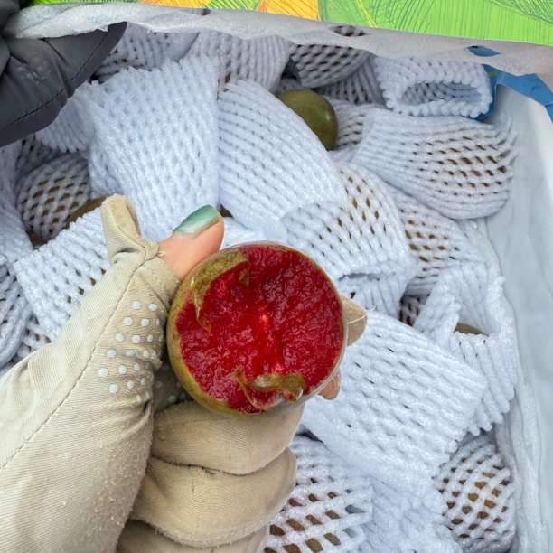 新鲜现摘红心李 分装 约3斤 顺丰包邮