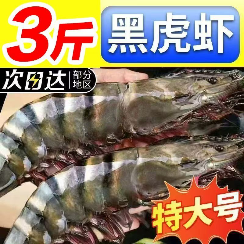 25年新品黑虎虾1620规格 净重三斤30只左右 顺丰包邮