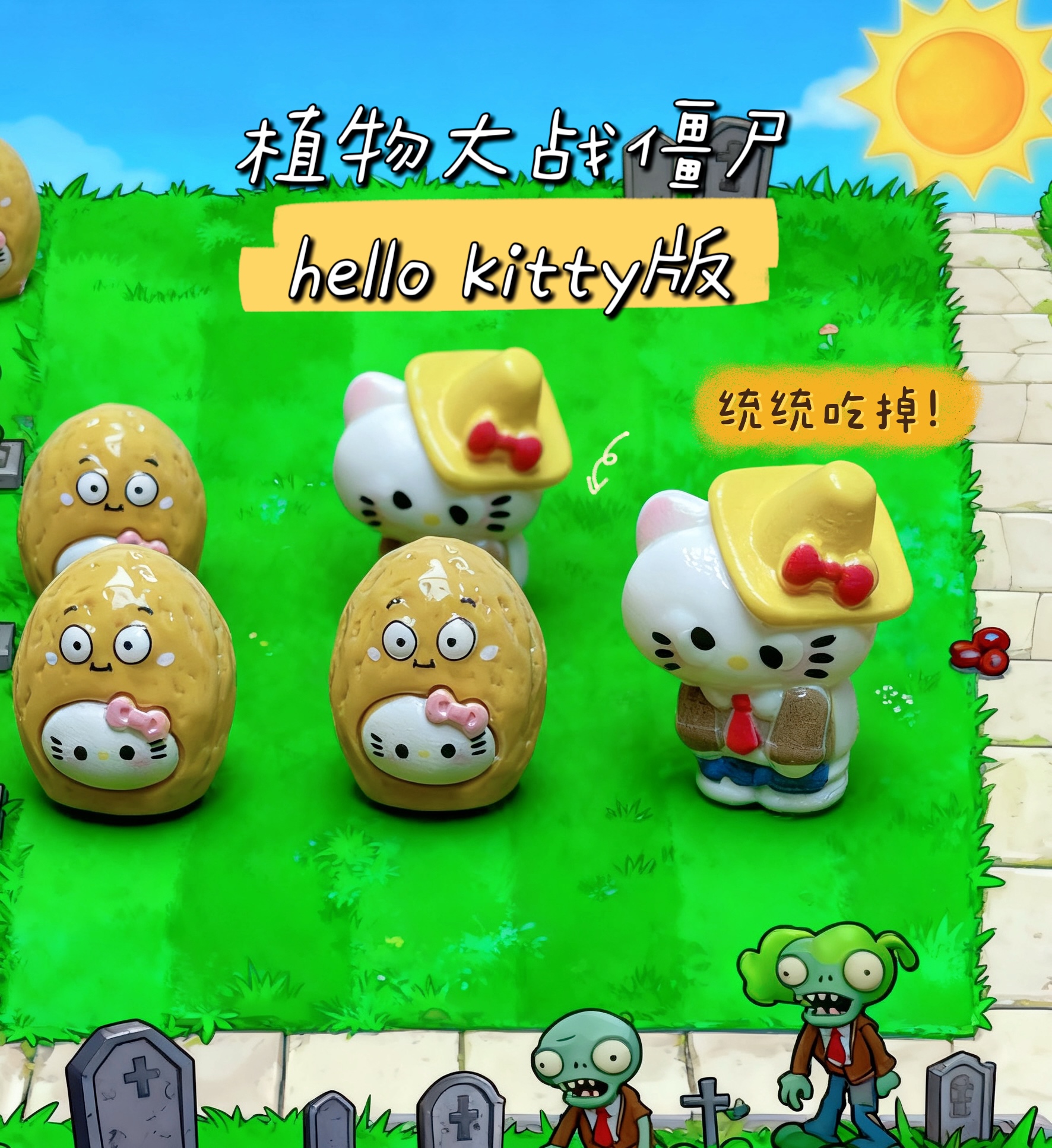 坚果墙kitty 6个