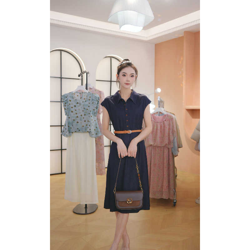 M1712 夏季25年新款高档洋气新中式收腰显瘦气质妈妈连衣裙女时尚
