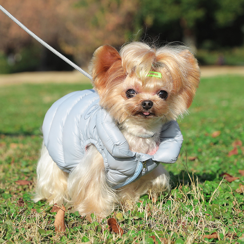 宠物服装狗狗衣服两脚羽绒服冬季保暖棉服小型犬马甲棉袄
