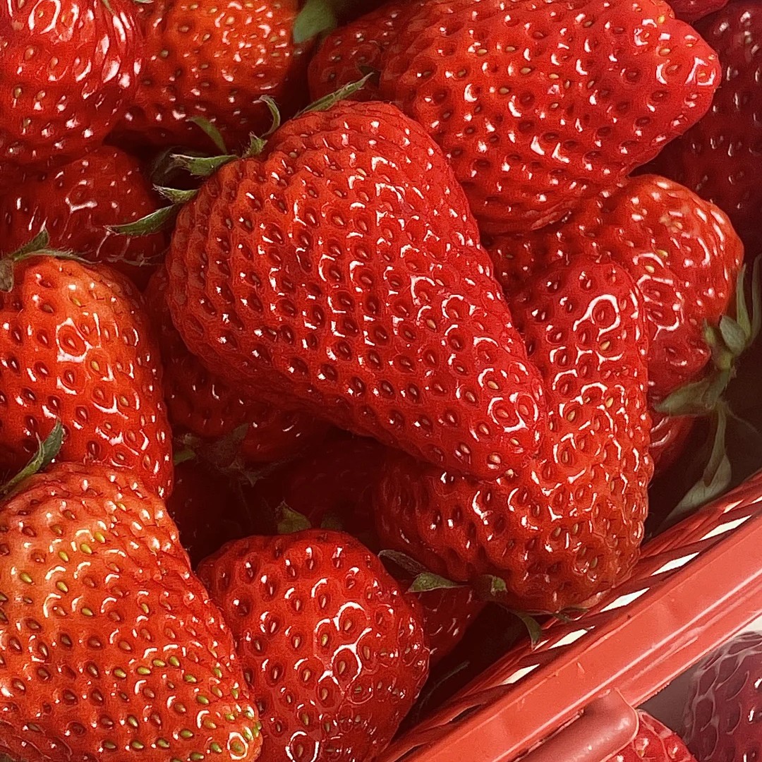 久久丹东草莓一盒带盒350克甜甜甜