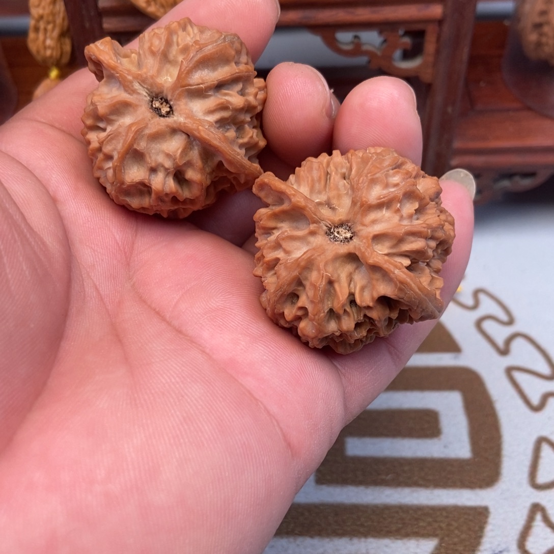 ****大叶紫檀（黑酸枝木类）苹果园