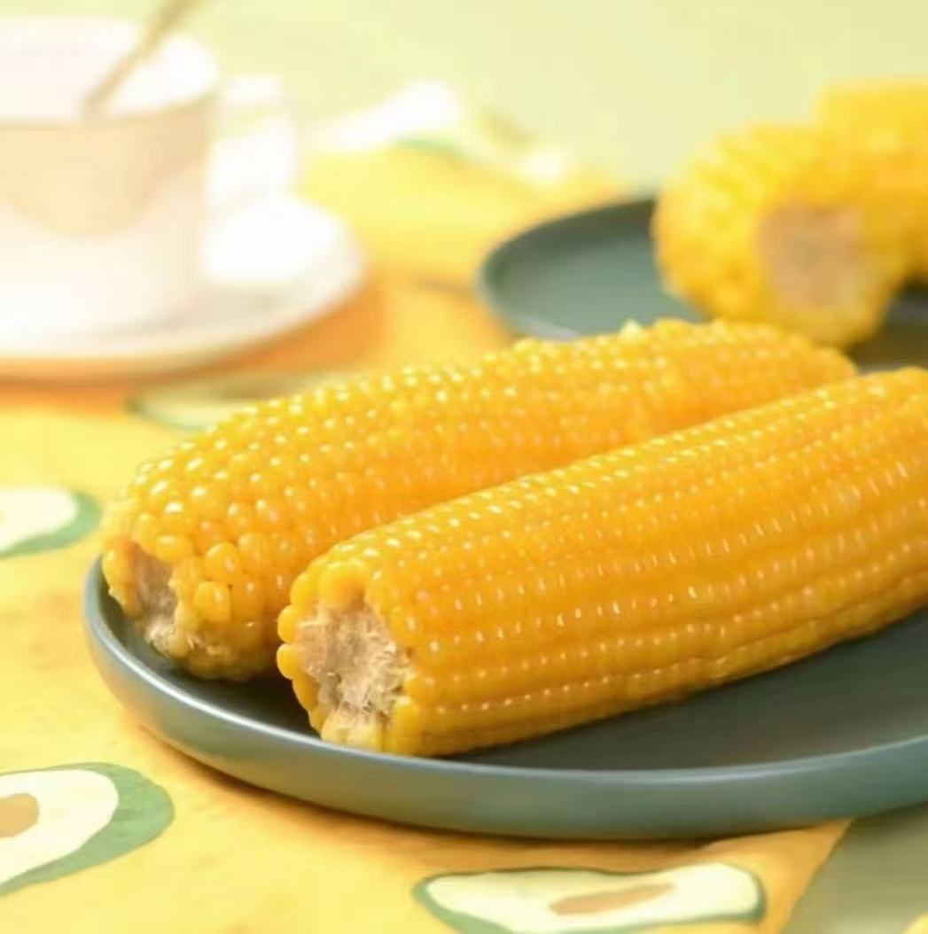 【试吃2根】25年东北黄糯玉米180-220g*12根软糯香甜饱腹代餐粗粮黏