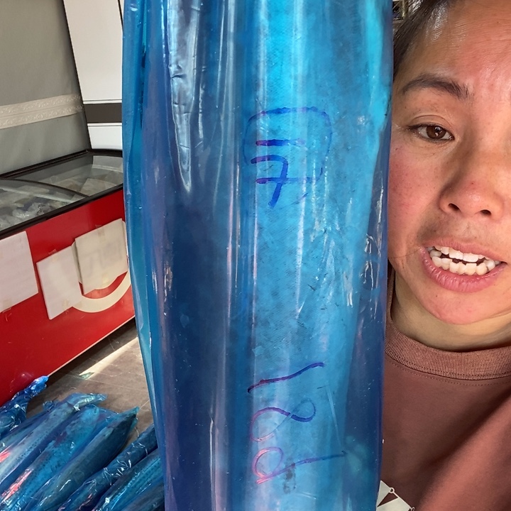 一***顺中国大陆渤海湾野生燕鲅鱼14号