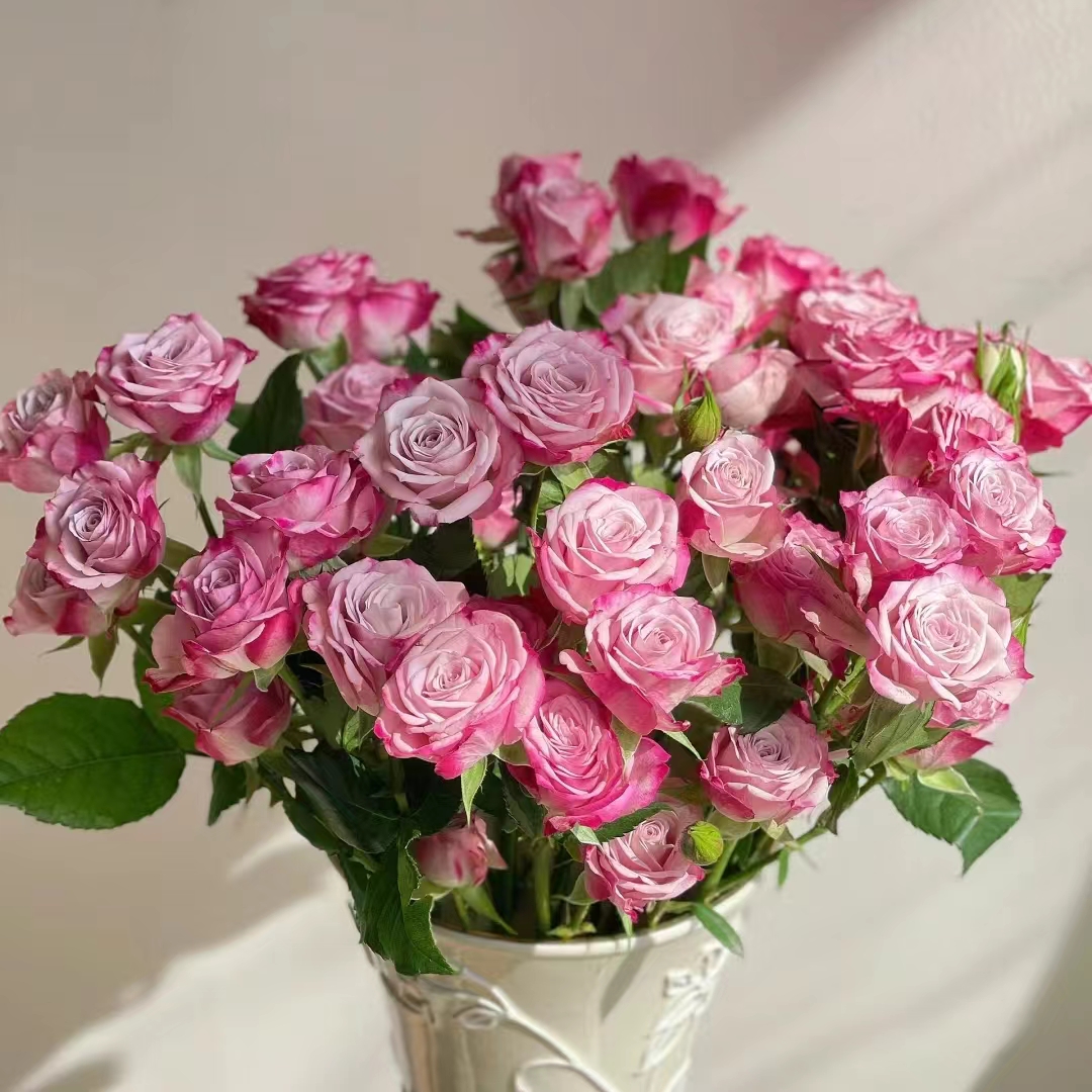 【花晓】花花公子多头玫瑰9支+1支防损（天冷拍保温棉）