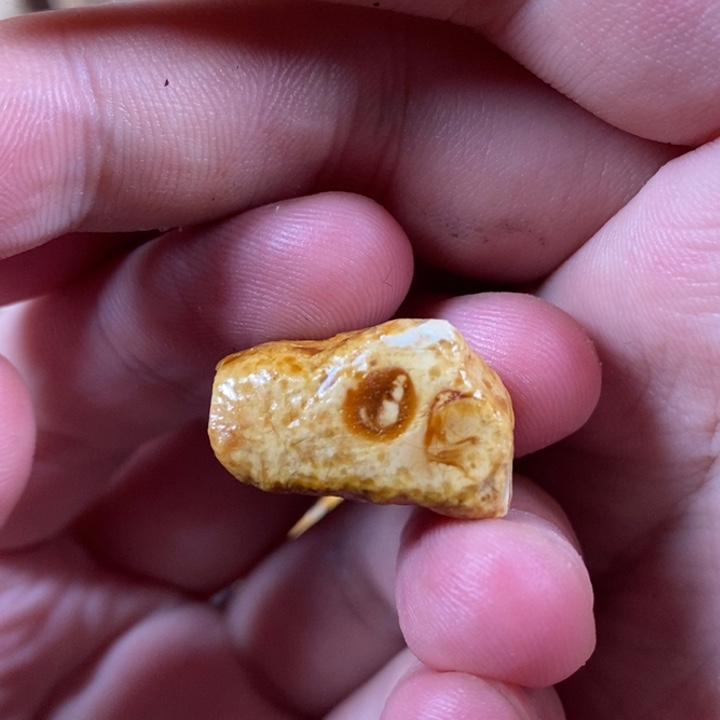 未镶嵌定制琥珀琥珀蜜蜡原石定制