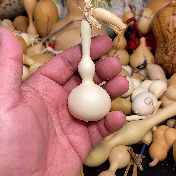 葫*斋精品葫芦手把葫芦16