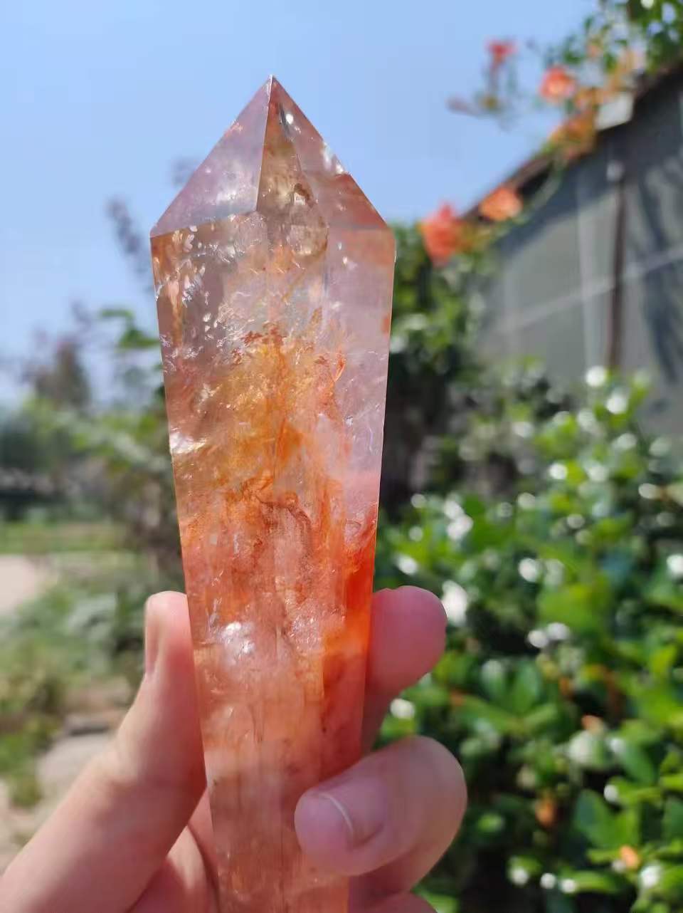 天然红胶花水晶六棱柱原石矿石桌面摆设装饰饰品