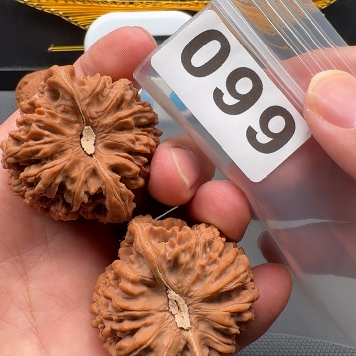 文玩核桃把件杰****长满天星