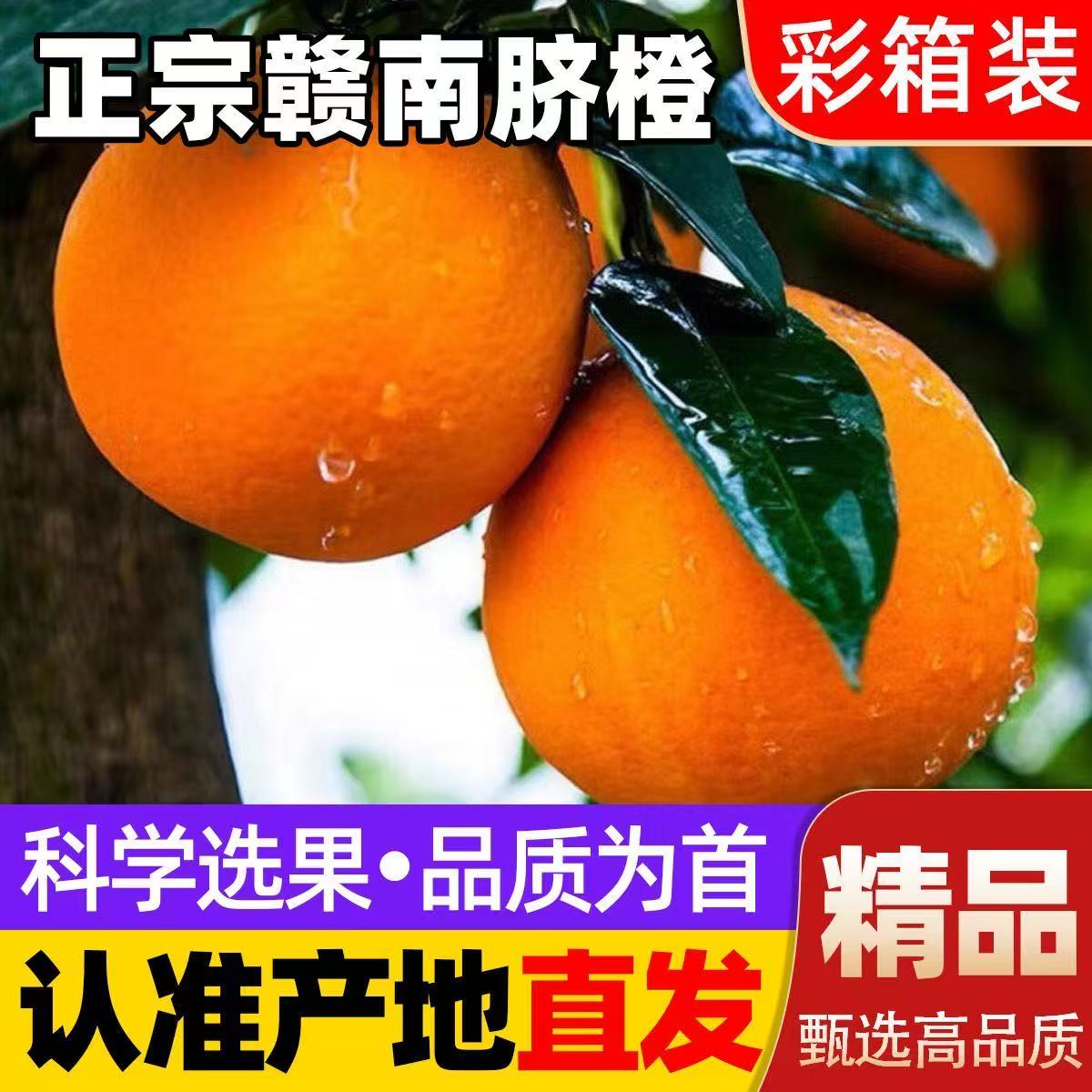 正宗江西赣南脐橙新鲜现摘应季水果孕妇宝宝多汁香甜产地赣州直发