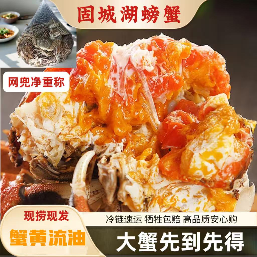 【活蟹】20只母蟹江苏河蟹1.2-1.5两蟹农直供 产地直发
