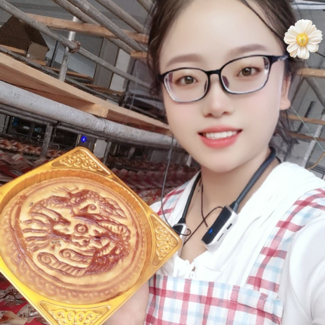 3个艾田月饼（1个500克）