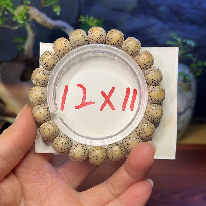 手串星月菩提海南原生态