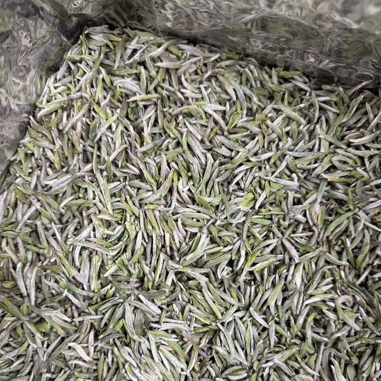 2025政和高山头采白毫银针，花果香、毫香、鲜爽、清甜、顺滑度好