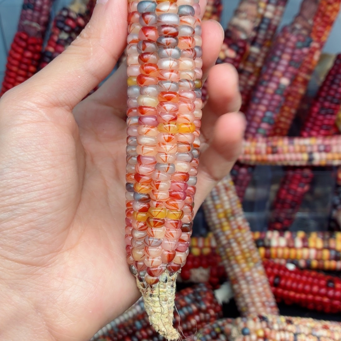 雅***娜白玉菩提吊坠文玩精品文玩精品