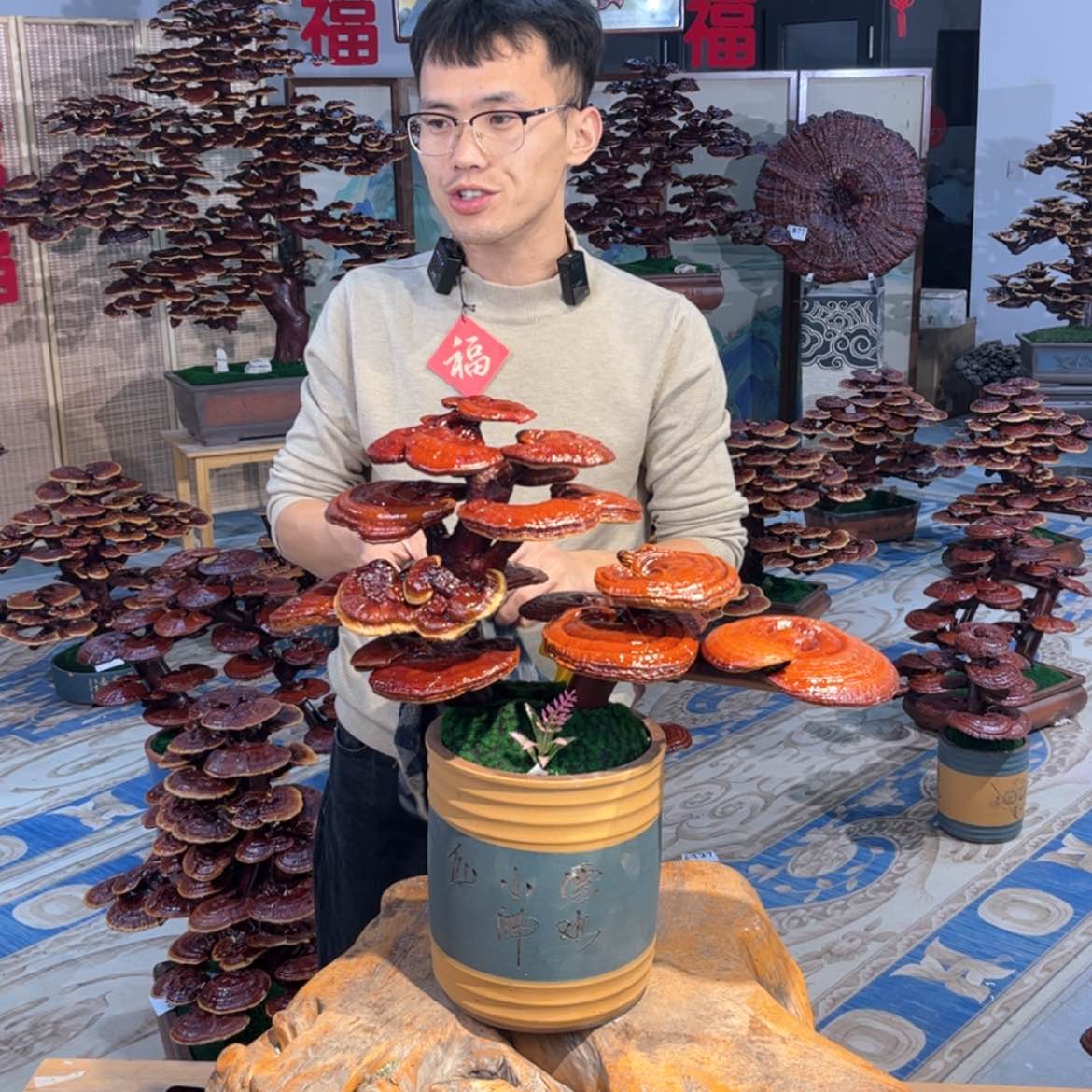 【闪购商品】55888