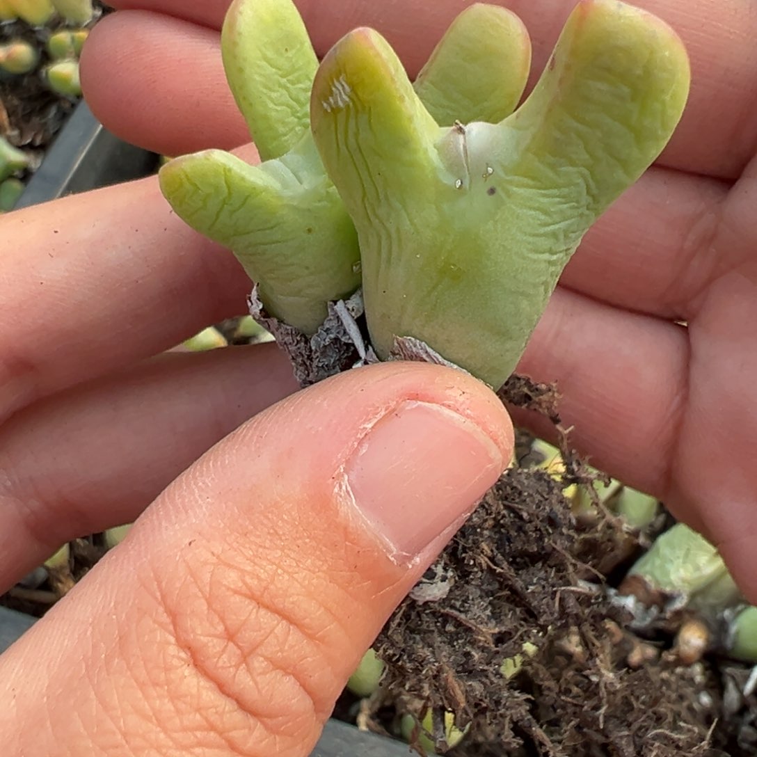 【闪购商品】731……