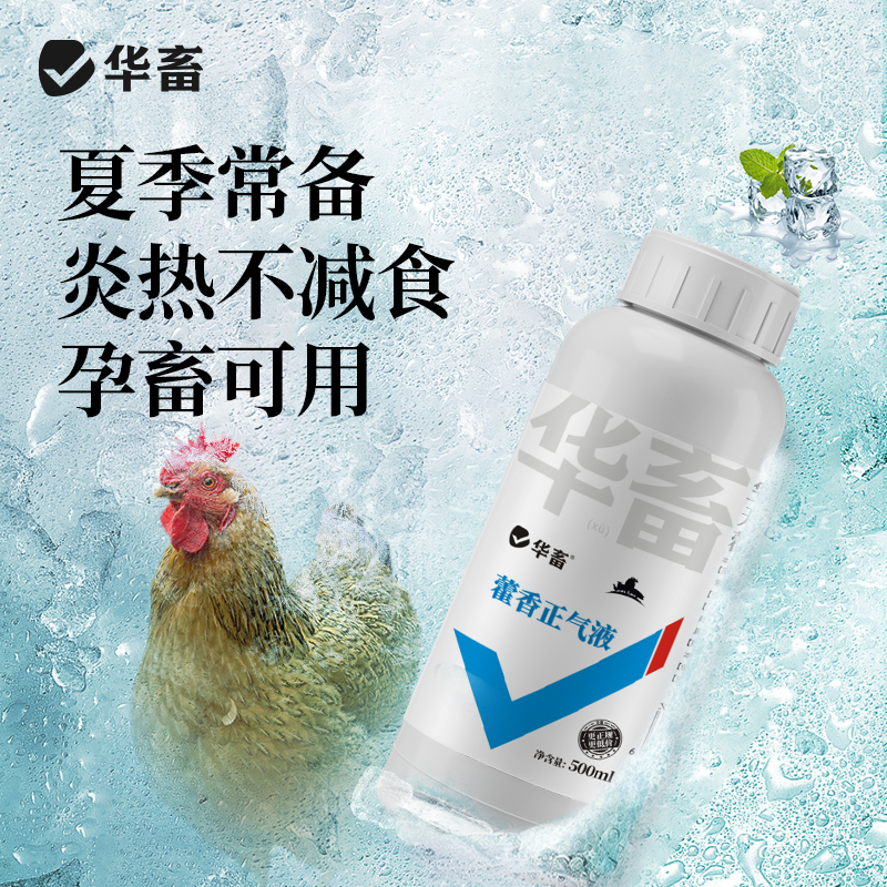 冰爽一夏 兽用 藿香证气 VC解暑增食兽用口服饲料添加剂Z