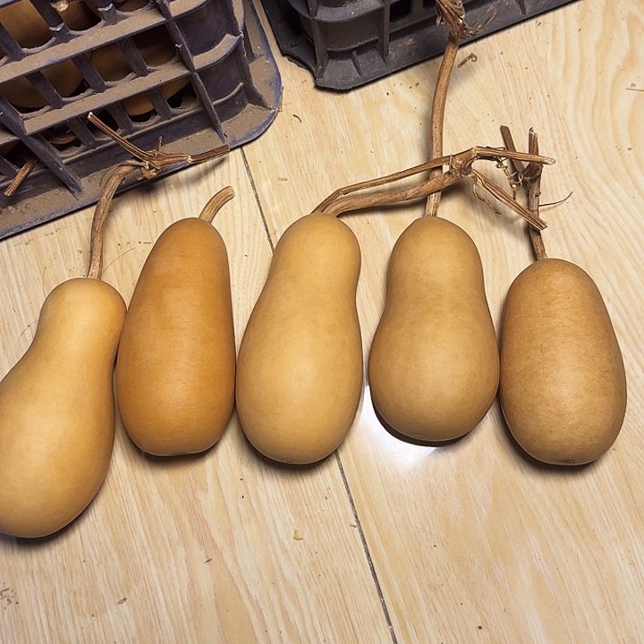 逾***候葫芦素冬瓜专属链接