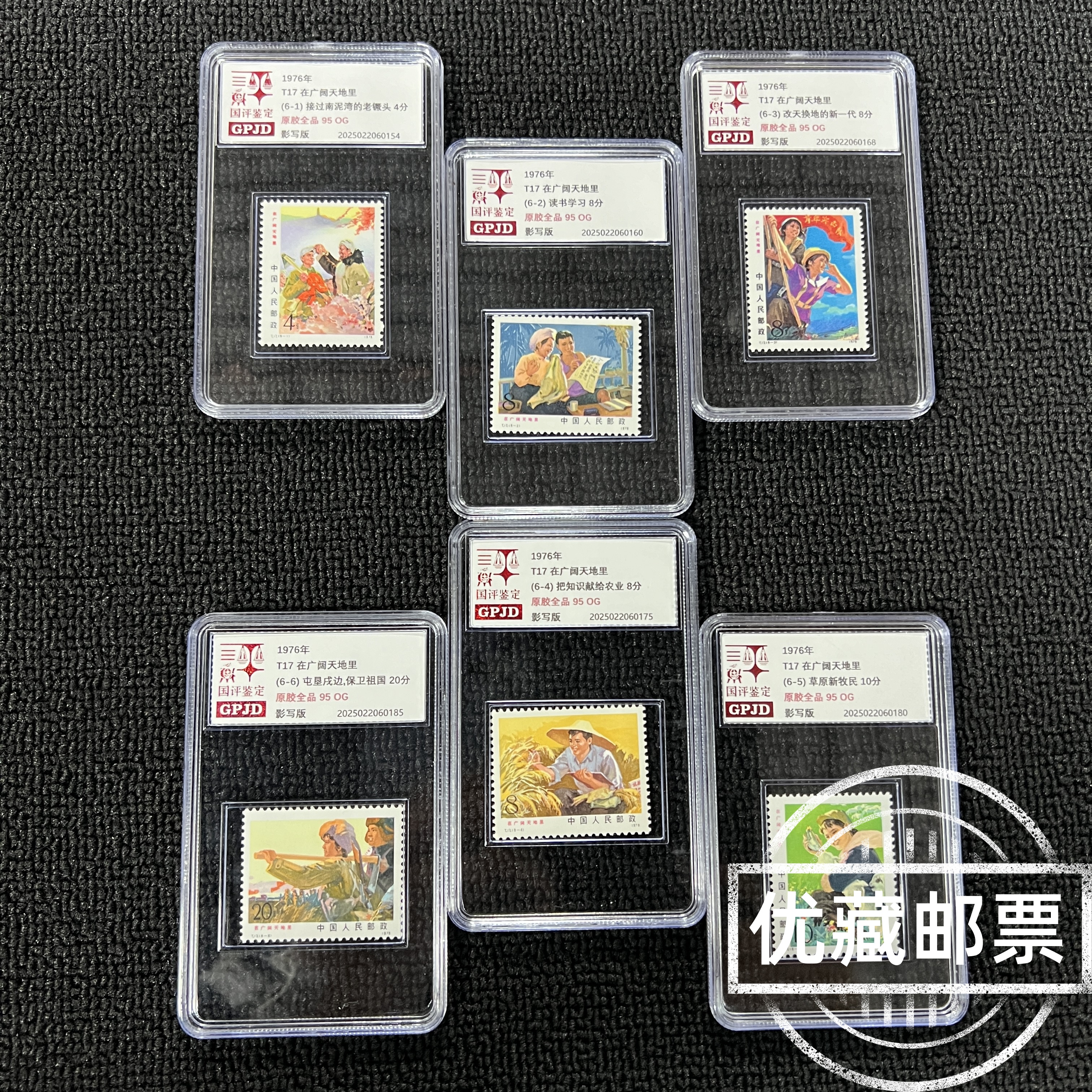 T17 在广阔天地里 邮票 原胶全品 95OG 高品相 JT票 经典必入款