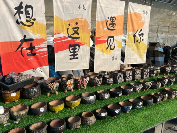 小哥哥手工画盆一物一拍