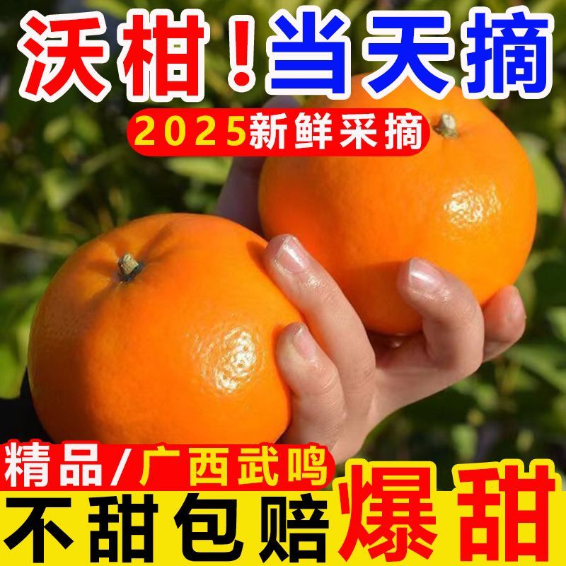 正宗广西武鸣现摘新鲜沃柑橘子多汁香甜当季水果