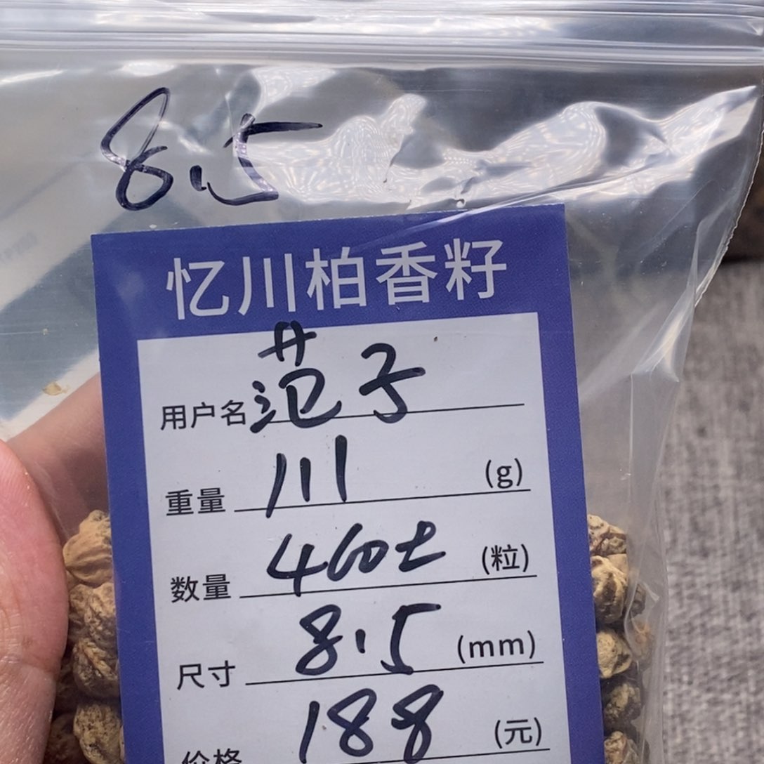 柏香籽/百香籽吊坠范*卿