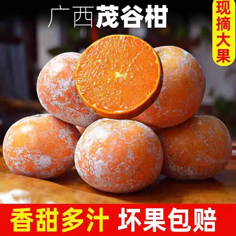 正宗广西茂谷柑新鲜现摘应季孕妇水果5斤带箱皮薄大果整箱包邮