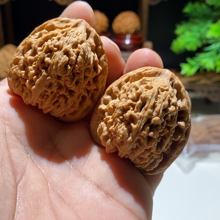 赵***先手串/手链核桃涿鹿姜黄皮南将石