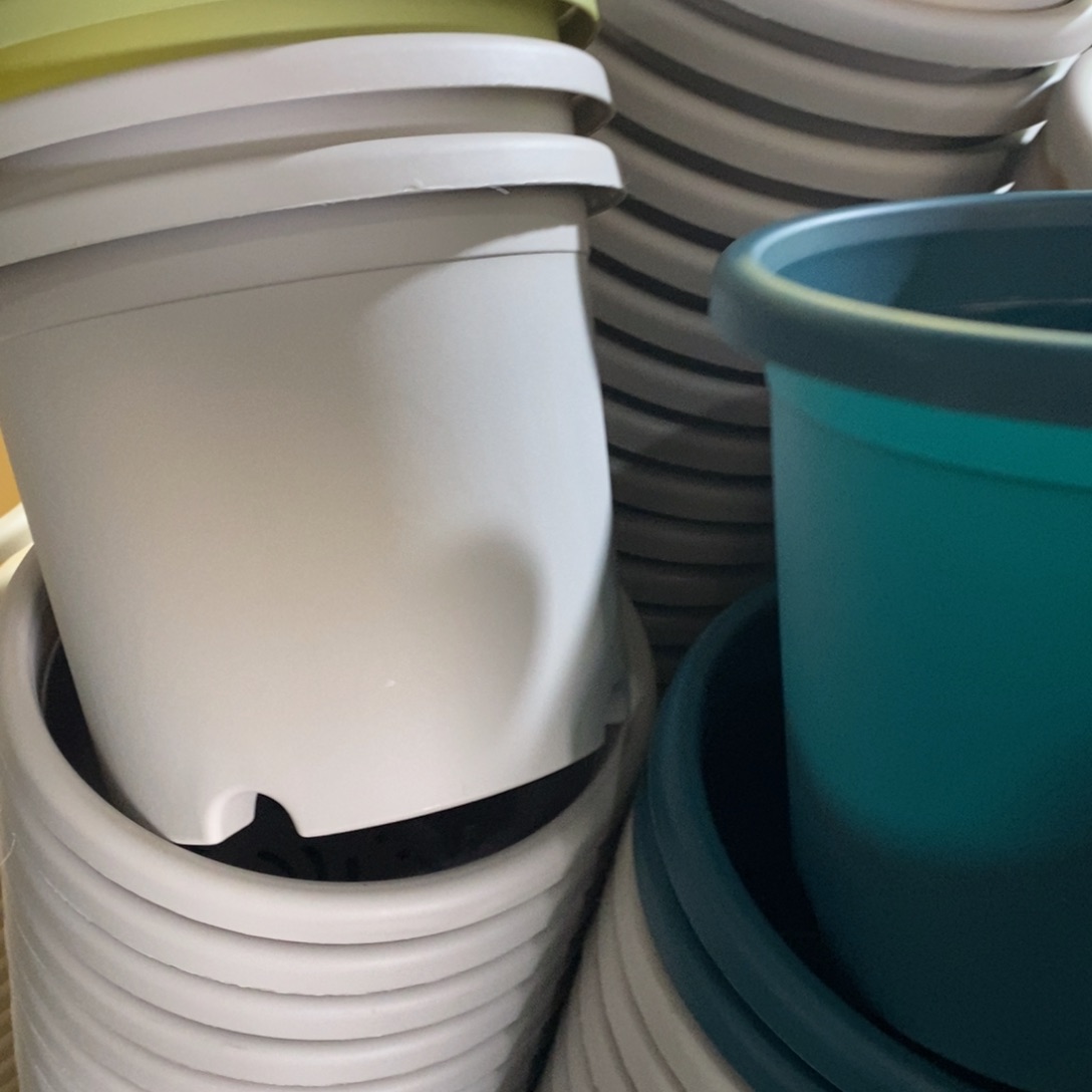 树脂特价3#无拖灰白10个