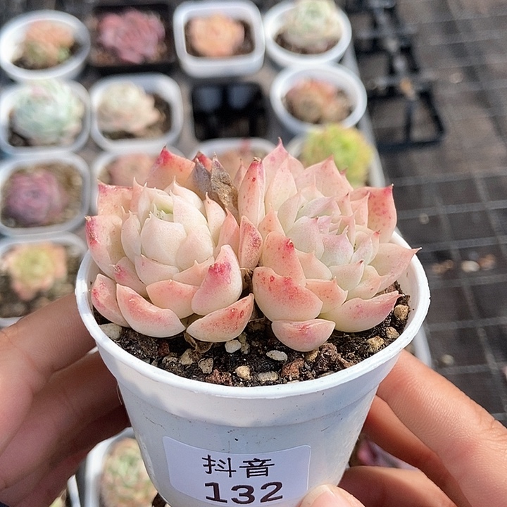 一物一拍满十元包邮发货 132