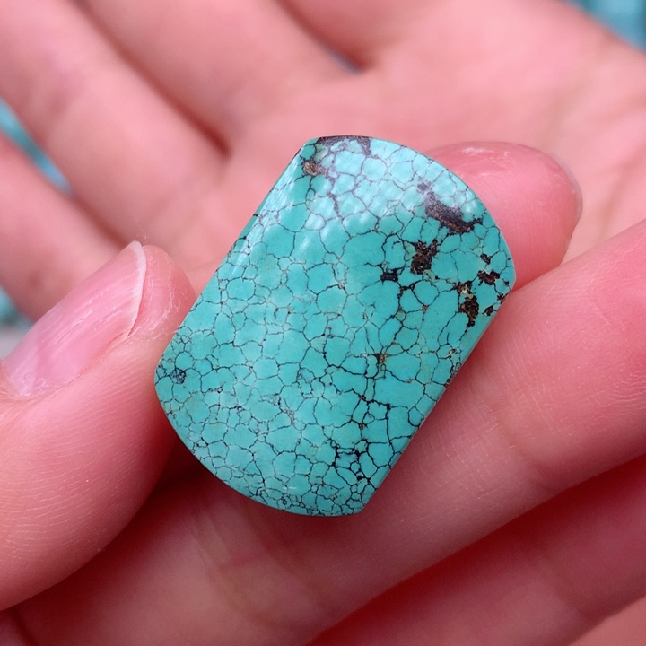 绿松石颈饰未镶嵌