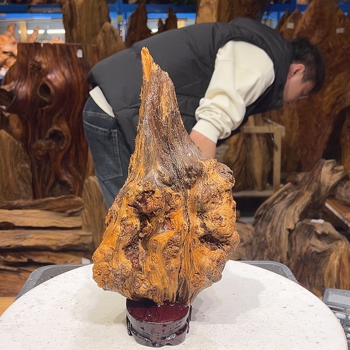 松木（琥珀木）小***，