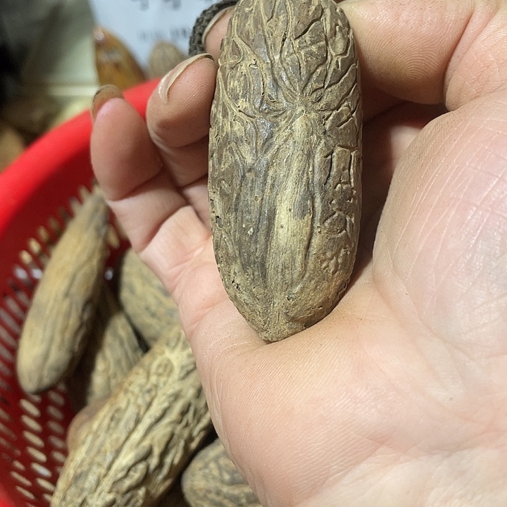 吾***睡千眼菩提把件天然千眼菩提不退不换